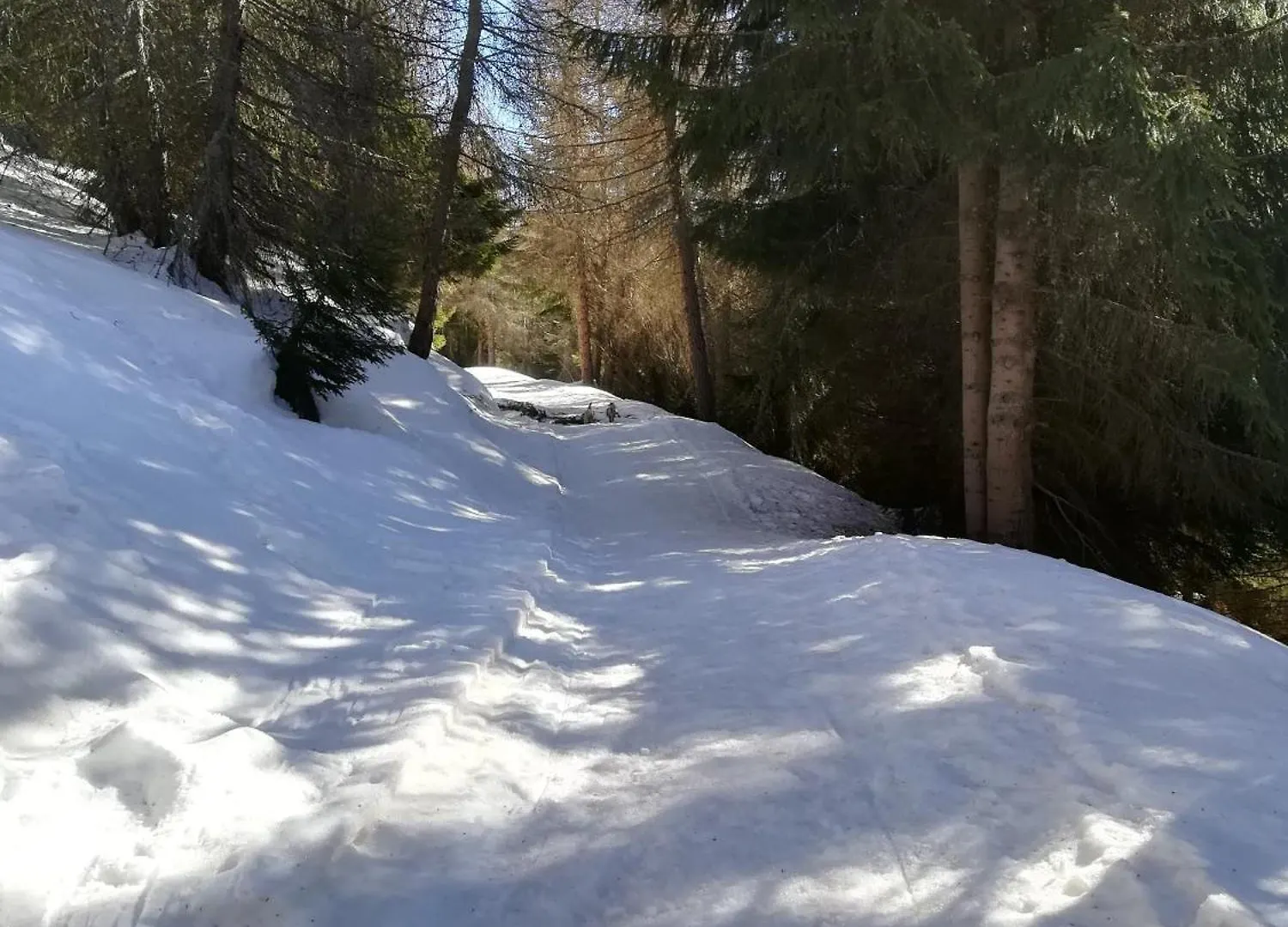 Adamello Apartment Aprica